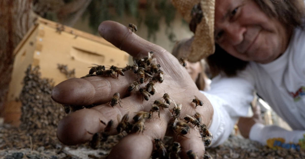 A still frame from "The Killer Bee Catcher" on EarthX. (Courtesy photo)