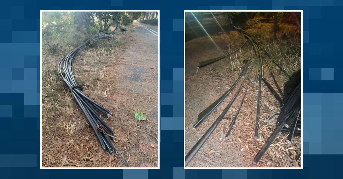 More than a dozen broadband fiber lines in Van Nuys were deliberate cut in June 2025, according to Charter. (Courtesy photo, composite image by The Desk)