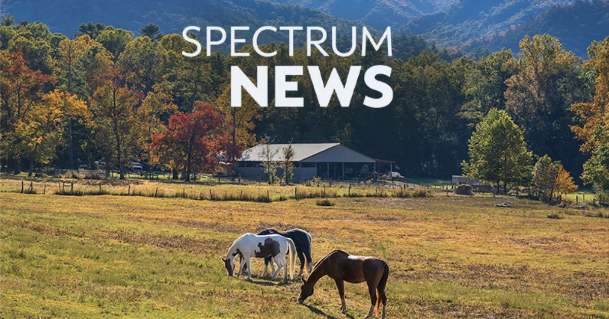 BLANK Spectrum News Tennessee WEBP TD blank spectrum news tennessee webp td