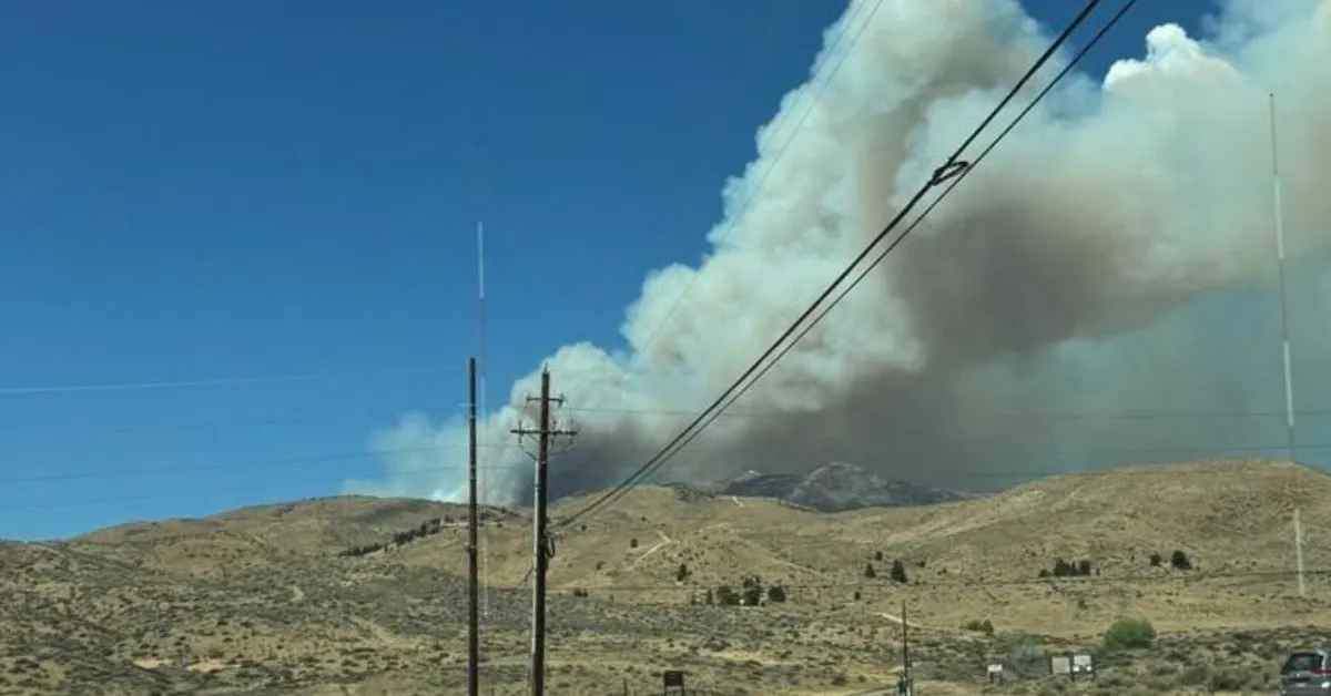 BLANK Hawk Fire Washoe County Sheriffs Office WEBP TD The Hawk Fire triggered the evacuation of 90,000 residents near the city of Reno. (Photo courtesy Washoe County Sheriff's Office)